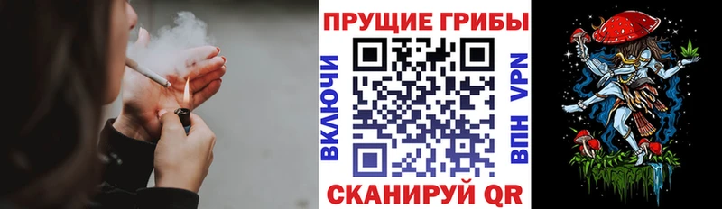 Псилоцибиновые грибы мухоморы  Армавир 